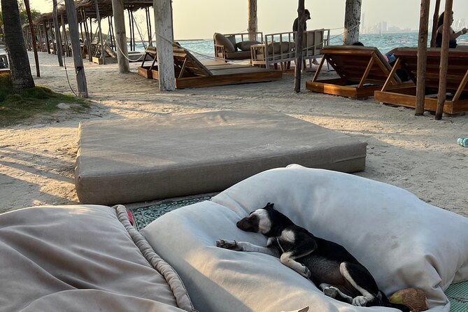 Day on Tierra Bomba Island All Inclusive Beach Club - Included Beverages and Snacks