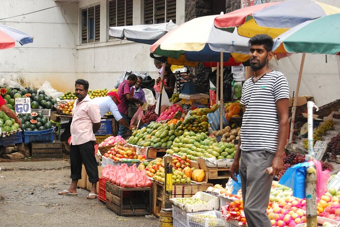 Day Out to Galle[Stilt Fishing. Turtle Watching.Cinnamon Farm] - Exploring Galle Fort