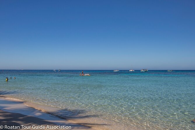 Day Pass @ Paradise Beach + Optional Gumbalimba Animal Sanctuary And/Or Zip Line - Gumbalimba Animal Sanctuary
