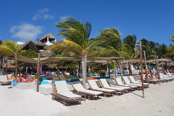 Day Pass to Pez Quadro Beach Break With Lunch and Open Bar - Transportation and Meeting Point