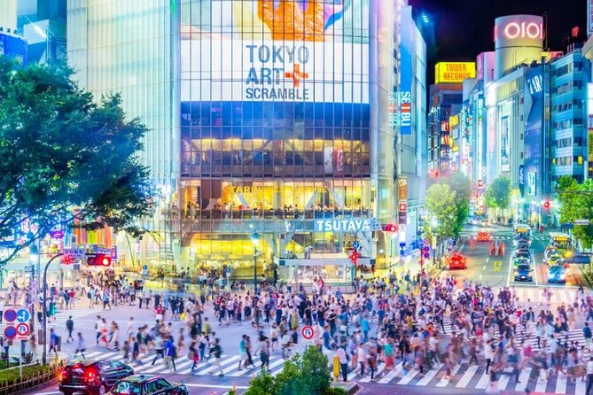 Day Private City Tour of Tokyo With English Speaking Driver - Pickup and Duration