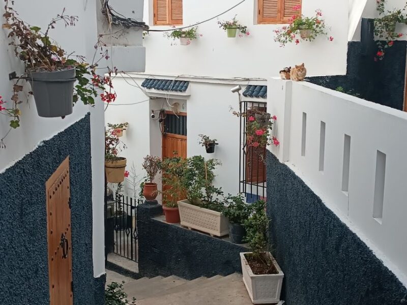 Day Private Tour of Tangier With Lunch Included - Cultural Experience