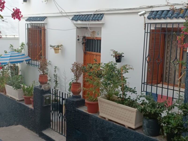 Day Private Tour of Tangier With Lunch Included - Scenic Views