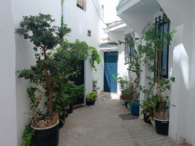 Day Private Tour of Tangier With Lunch Included - Booking and Cancellation