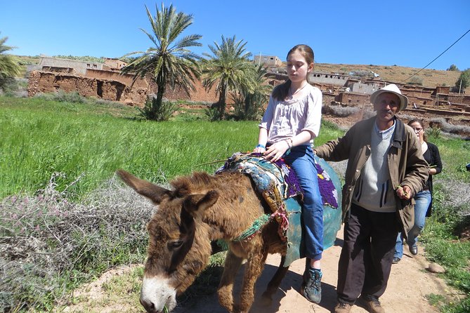 Day Private Trip From Marrakech To Ouzoud - Local Cuisine