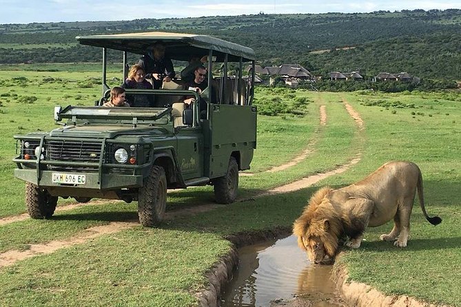 Day Safari at Pumba Private Game Reserve - Whats Included