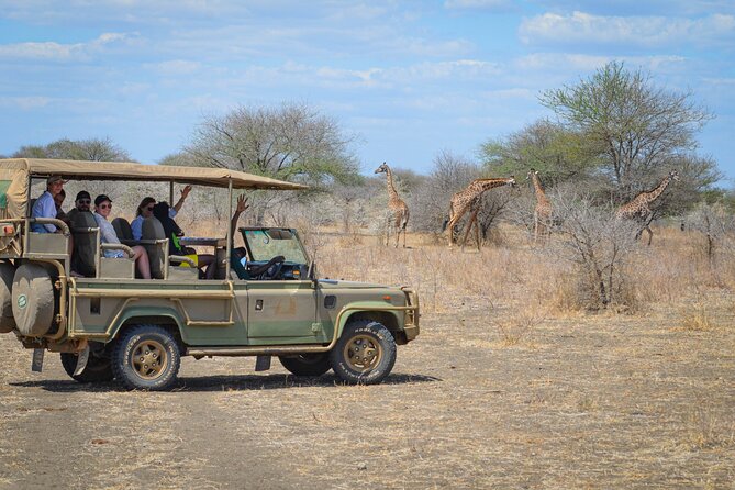 Day Safari Tour Selous Game Reserve - Meeting and Pickup
