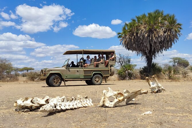 Day Safari Tour Selous Game Reserve - Cancellation Policy