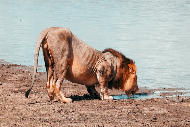 Day Safari Tour Selous Game Reserve - Wildlife Sightings