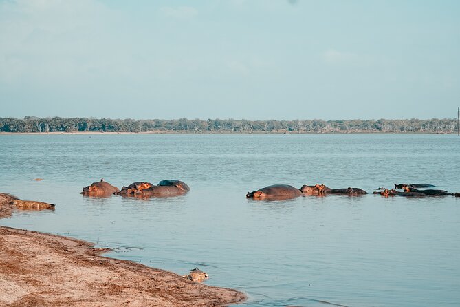 Day Safari Tour Selous Game Reserve - Photographic Opportunities