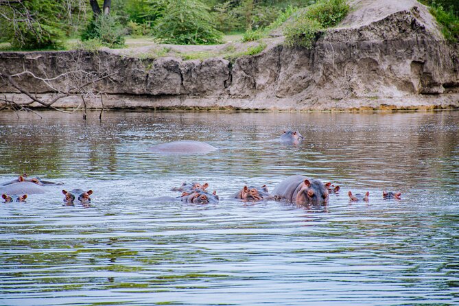 Day Safari Tour to Mikumi National Park - Excluded Expenses