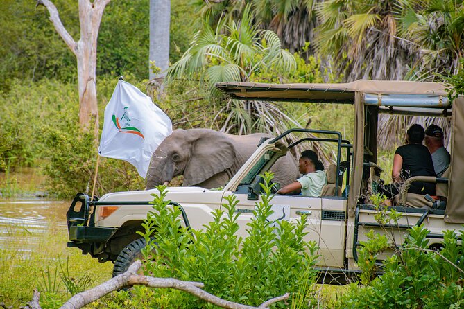Day Safari Tour to Mikumi National Park - Booking and Cancellation