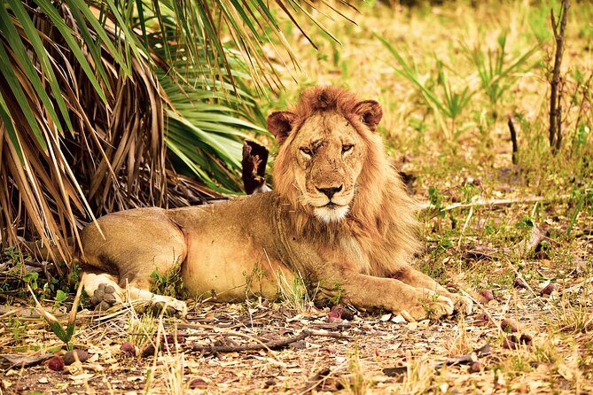 Day Safari Tour to Selous Game Reserve From Zanzibar - Confirmation and Cancellation