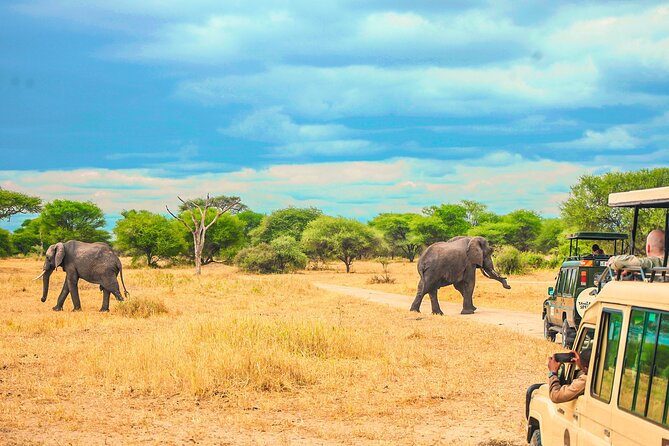 Day Safari Tour to Selous Game Reserve From Zanzibar - Tour Organization