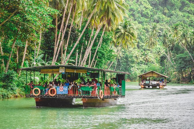 Day Swing to Bohol - Inclusions