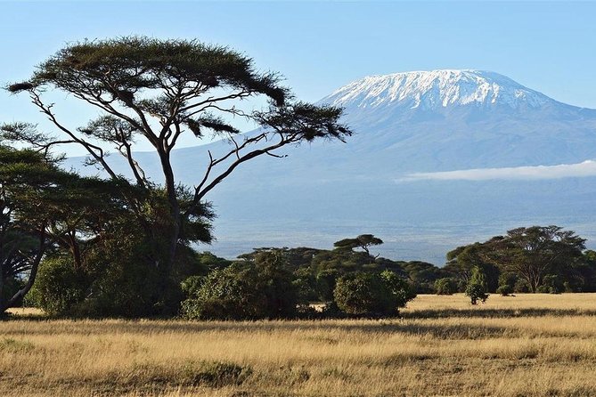 Day Tour - Amboseli National Park From Nairobi - Masai Village Visit