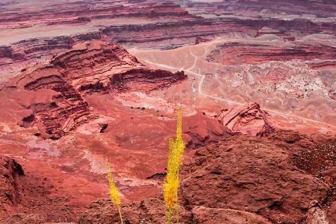 Day Tour Arches and Canyonlands National Park in Utah - Recommendations and Restrictions