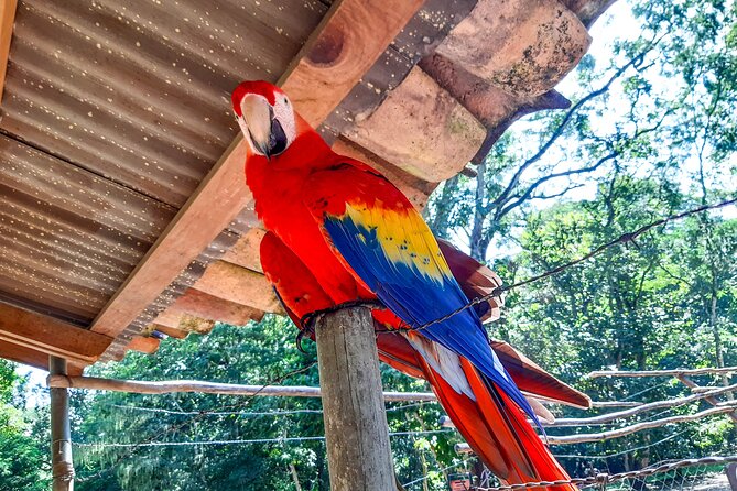 Day Tour: Copan Ruins UNESCO World Heritage Site in Honduras From San Salvador - What to Expect on the Tour