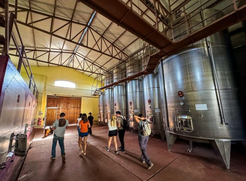 Day Tour Cordon Del Plata + Winery - Exclusions