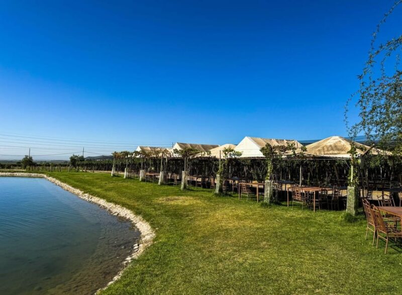 Day Tour Cordon Del Plata + Winery - Important Information
