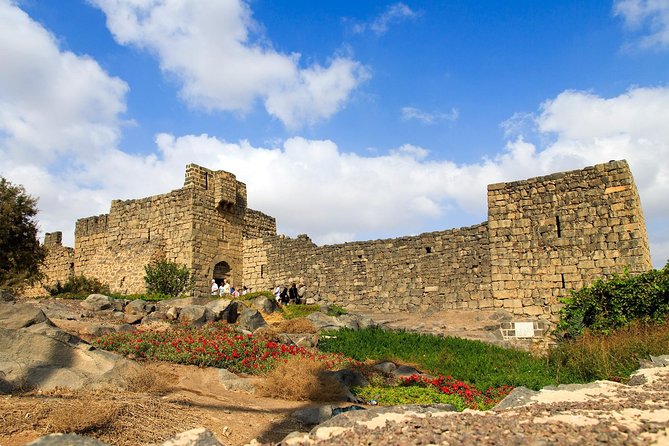 Day Tour Desert Castles & Azraq Wetland Reserve - Umayyad Desert Castles