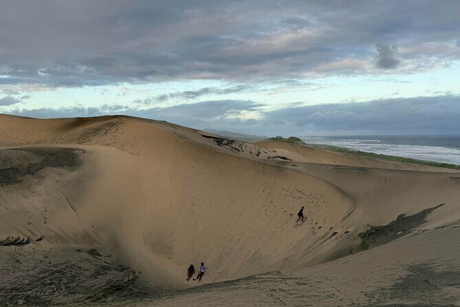 Day Tour Exploration of Fiji Culture and Nature - A Well-Rounded Day in Fiji
