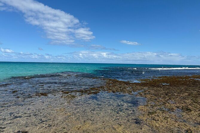 Day Tour Exploration of Fiji Culture and Nature - Who Should Consider This Tour?