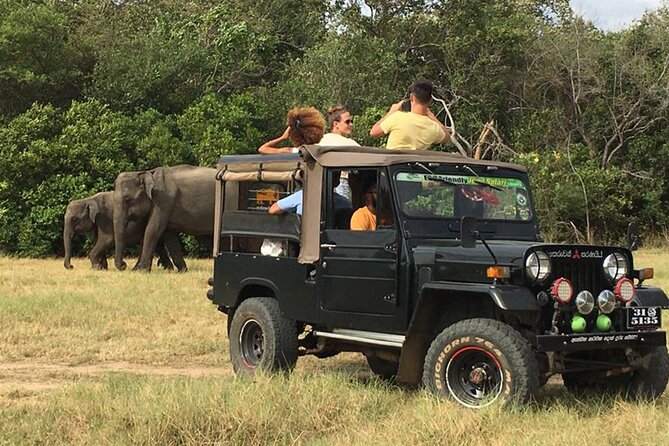 Day Tour From Colombo to Udawalawe National Park Jeep Safari - Scenic Route From Colombo