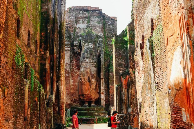 Day Tour From Dambulla to Sigiriya or Pidurangala & Polonnaruwa - Inclusions