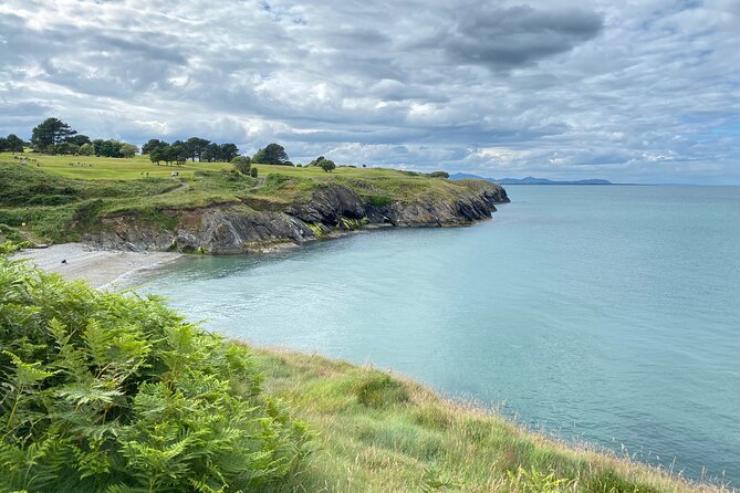 Day Tour From Dublin to Wicklow: Cliffs, Heritage, Wildlife, Gaol - Key Points