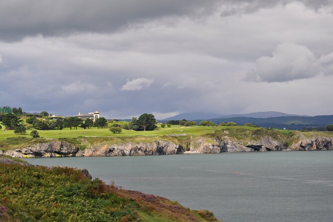 Day Tour From Dublin to Wicklow: Cliffs, Heritage, Wildlife, Gaol - Verified Reviews Breakdown