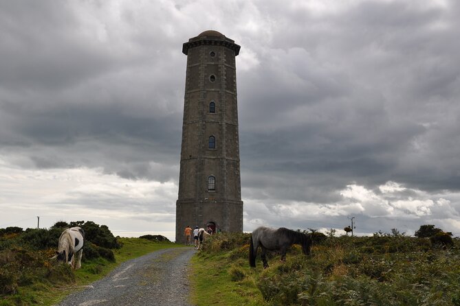 Day Tour From Dublin to Wicklow: Cliffs, Heritage, Wildlife, Gaol - Seal and Pup Encounters