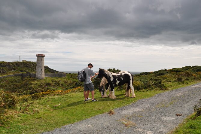 Day Tour From Dublin to Wicklow: Cliffs, Heritage, Wildlife, Gaol - Pricing and Cancellation Terms