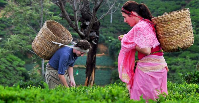 Day Tour From Kandy to Nuwara Eliya and Ramboda Waterfall - Gregory Lake Boat Safari