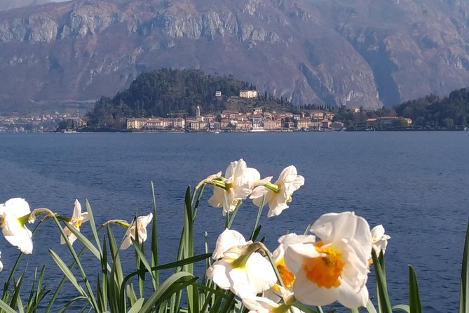 Day Tour From Milan: Lake Como & Bellagio With Cruise in a Small-Group Tour - Traveler Feedback and Reviews