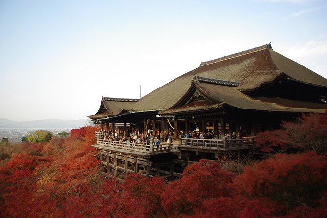 Day Tour From Osaka to Kyoto Lets Enjoy Kyotos Food and Scenery - Transportation and Meeting Details