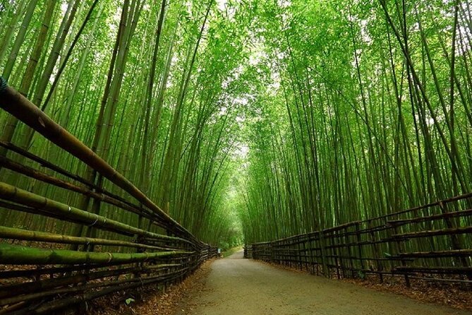 Day Tour From Osaka to Kyoto Lets Enjoy Kyotos Food and Scenery - Discover Kyotos Iconic Landmarks