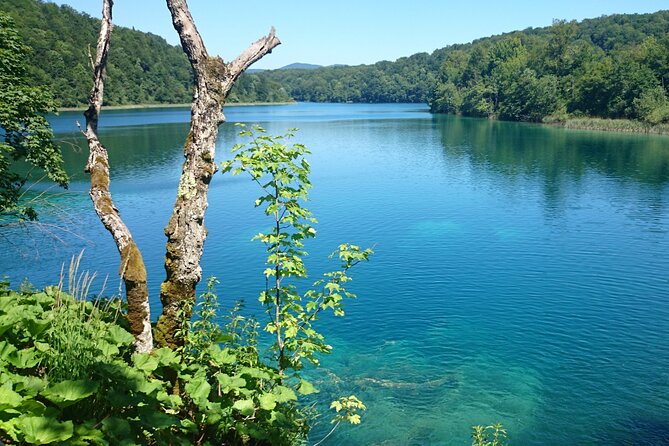 Day Tour From Zadar to Plitvice Lakes - Getting to Plitvice Lakes
