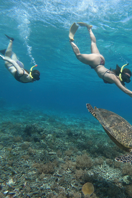 Day Tour Gili Trawangan, Gili Meno, Gili Air (Depart Lombok) - Tour Overview