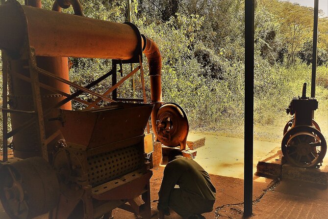 Day Tour Giraffe Center, Karen Blixen and Lunch at Carnivore - Recap