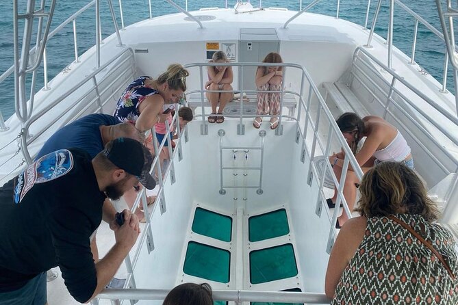 Day Tour Glass Bottom Boat In Islamorada - Crew and Wildlife Sightings