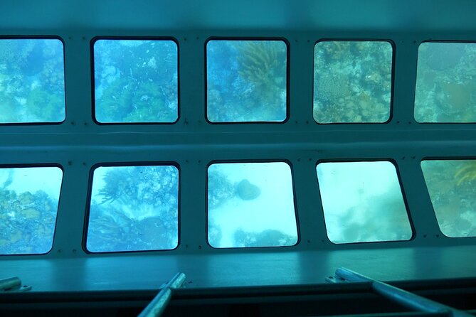 Day Tour Glass Bottom Boat In Islamorada - Customer Feedback