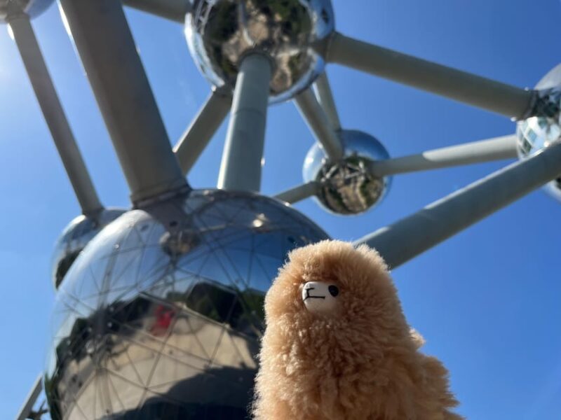 Day Tour Hague&Rotterdam From Amsterdam - Key Points