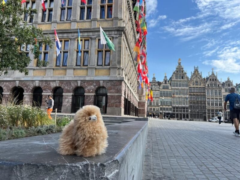 Day Tour Hague&Rotterdam From Amsterdam - Departure and Arrival