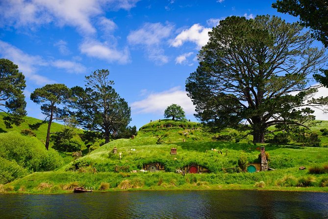Day Tour Hobbiton + Rotorua From Auckland in Luxury Minibus - Pickup and Transportation