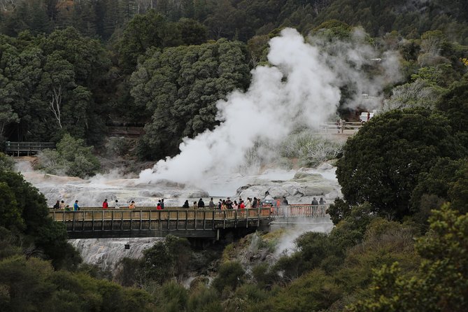 Day Tour Hobbiton + Rotorua From Auckland in Luxury Minibus - Discovering Rotorua