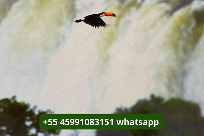 Day Tour Iguassu Falls Both Sides -Argentina and Brazil - Tour Description