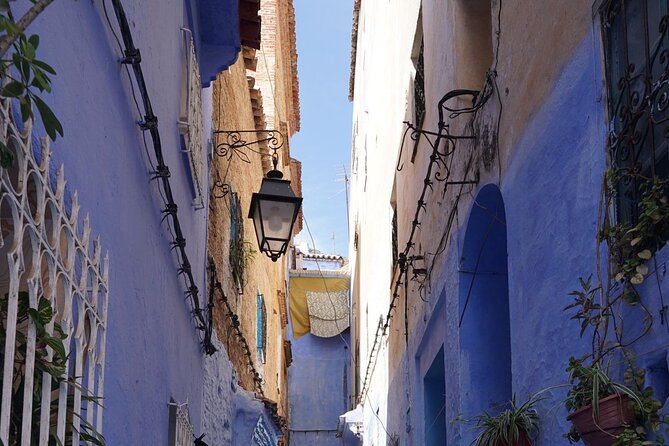 Day Tour in Blue City of Chefchaouen - Discovering the Medinas Vibrant Alleyways