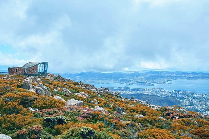 Day Tour in Mt. Field, Mt. Wellington, Bonorong Wildlife Sanctuary and Richmond - Scenic Drive Along Derwent