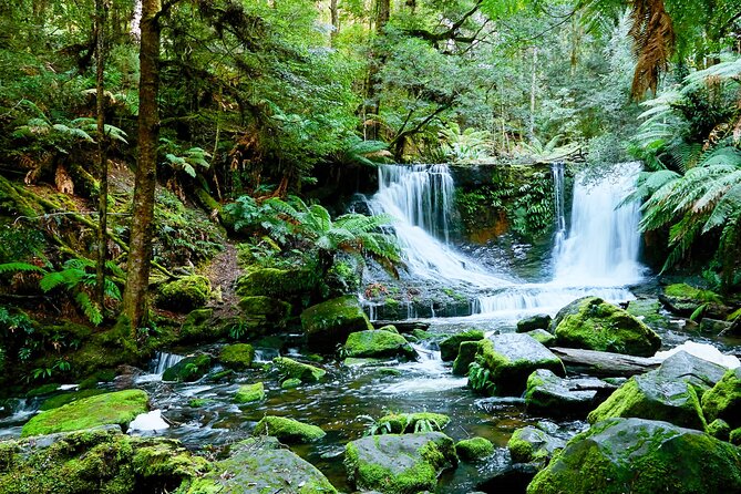 Day Tour in Mt. Field, Mt. Wellington, Bonorong Wildlife Sanctuary and Richmond - Additional Information